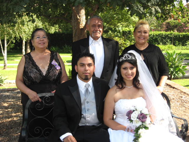 617x456 pixels (158K)